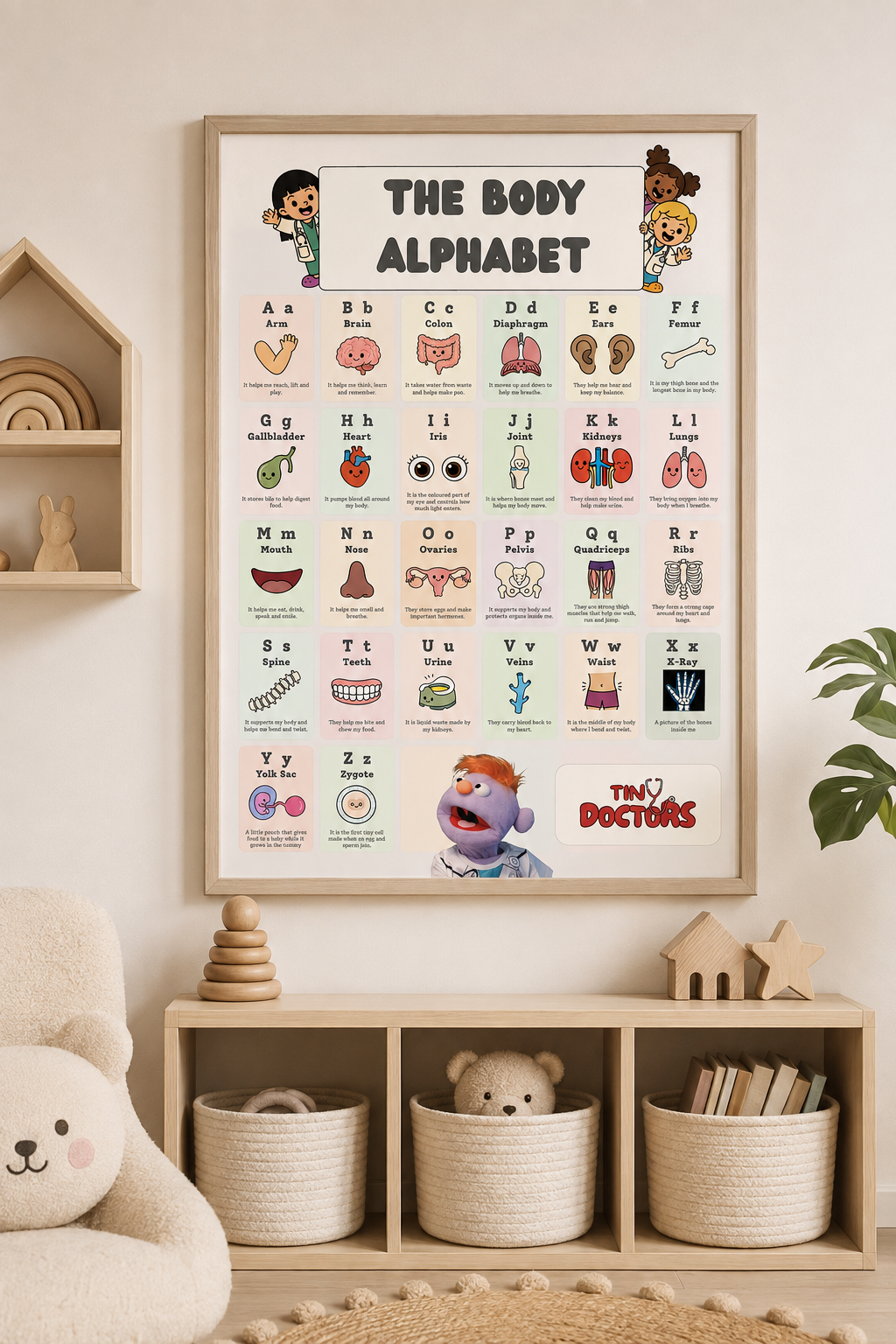 Body Alphabet Poster Poster of the Body Alphabet